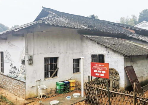 四級(jí)委員兩群聯(lián)動(dòng),線上線下融合建言農(nóng)業(yè)廢棄物處理與資源化利用 委員讀書(shū)